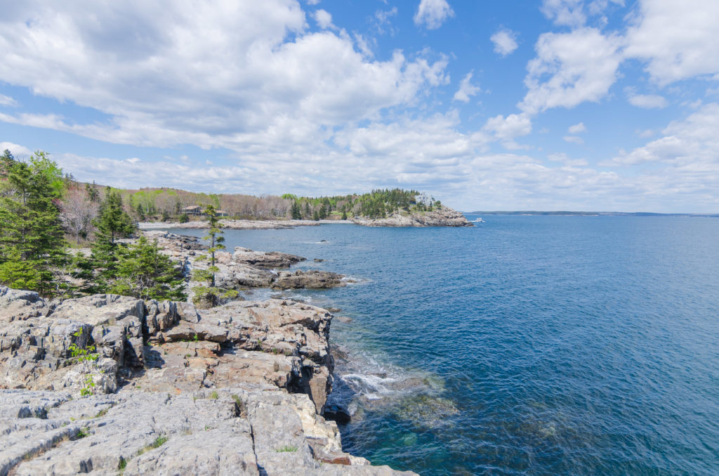 Nature photography Acadia National Park Maine