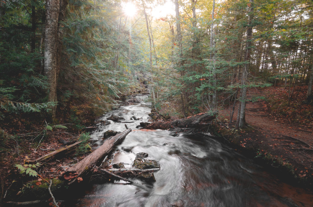 nature photography chapel falls michigan