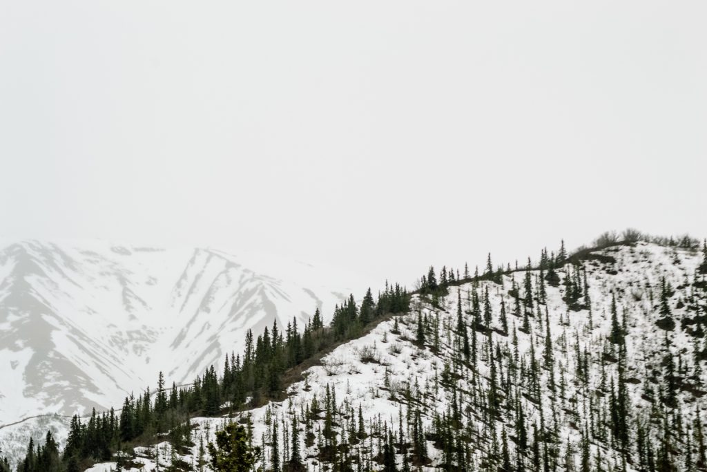 Alaska Mountains